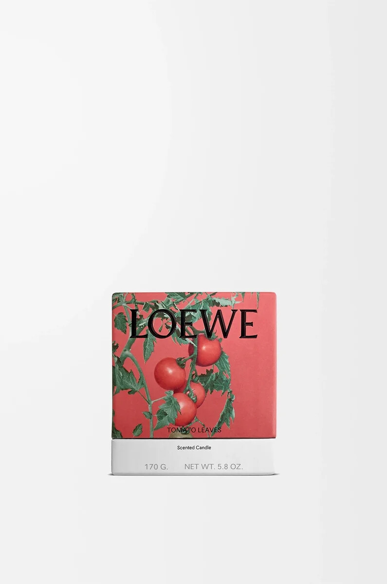 small tomato leaves candle red