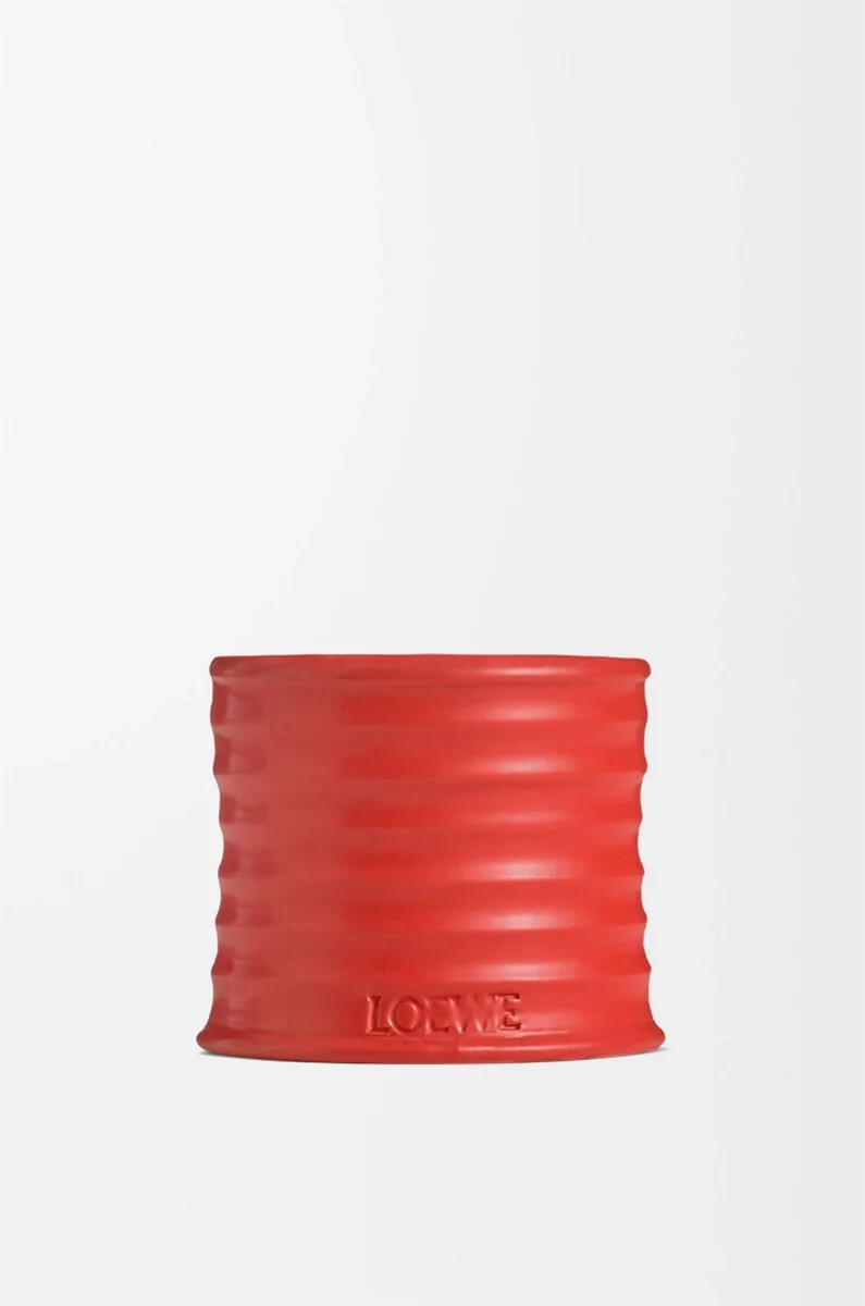 small tomato leaves candle red