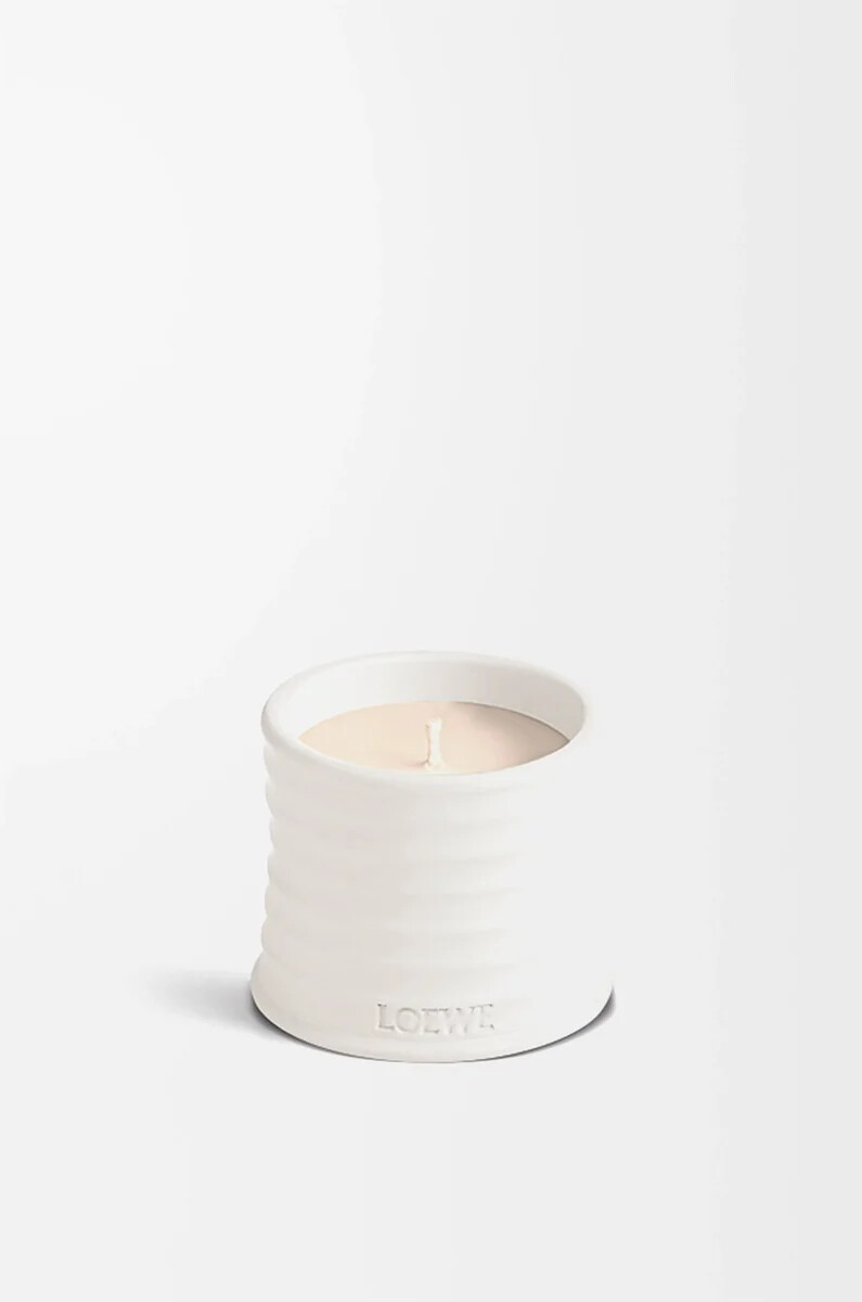 small oregano candle white