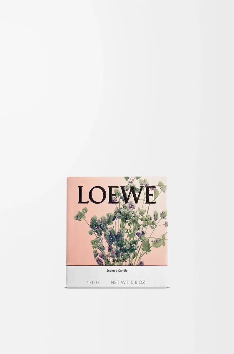 small oregano candle white