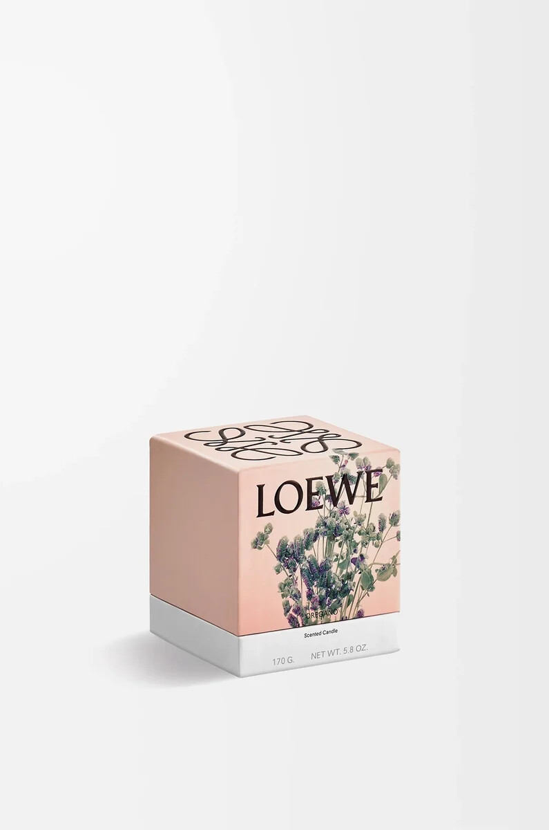 small oregano candle white
