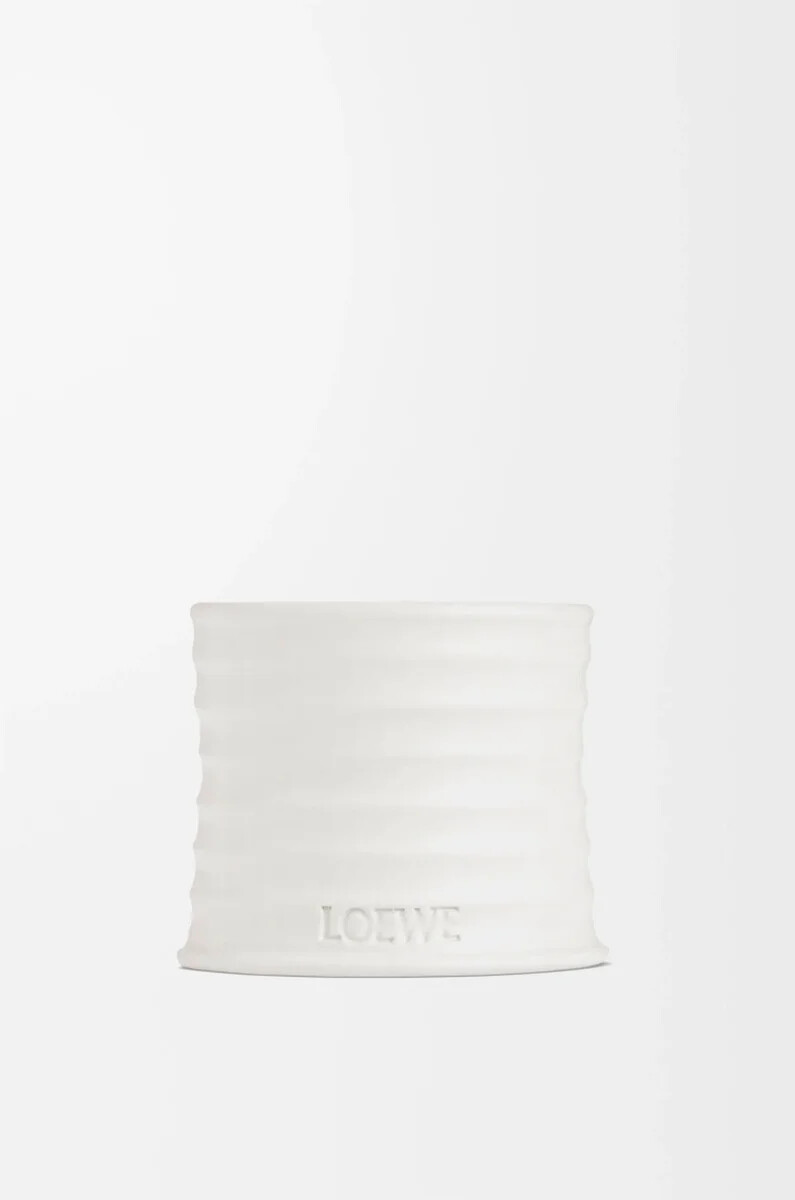 small oregano candle white
