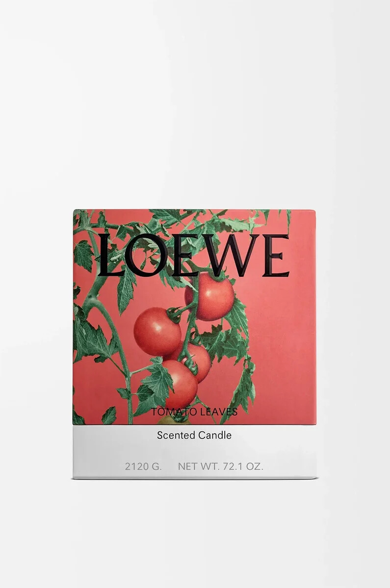 large tomato leaves candle red