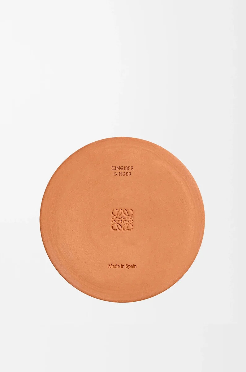 ginger outdoor candle orange